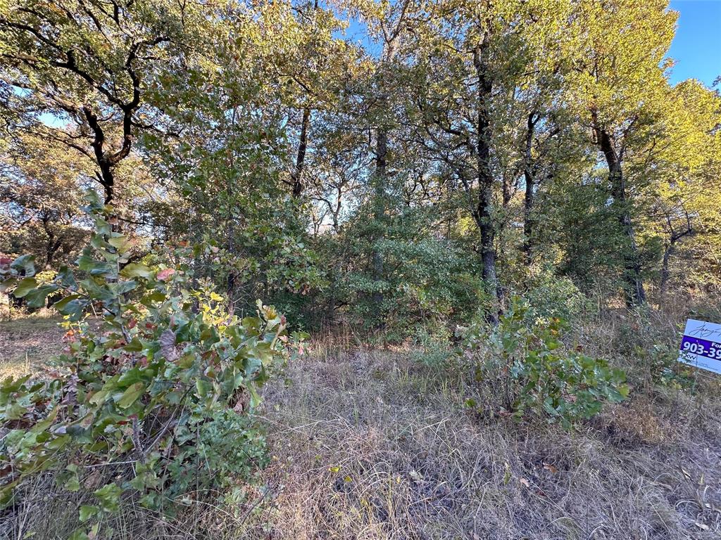 134 Thrush Road Mabank, TX 75156 - Photo 11 of 17 a view of a forest that has a tree