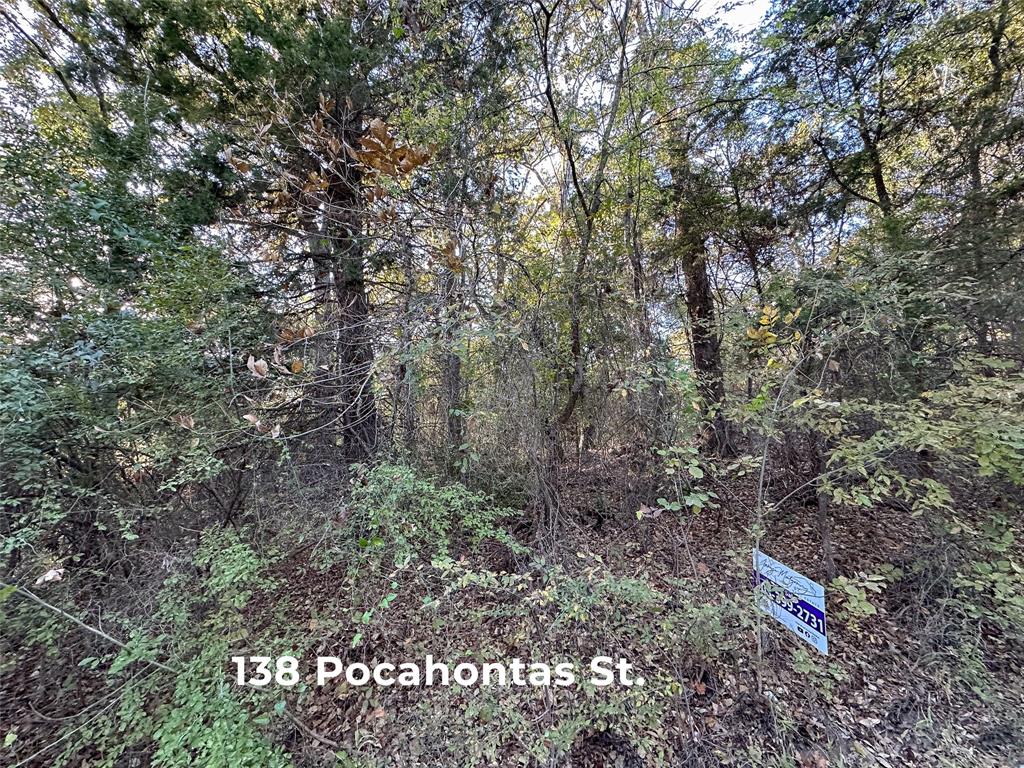 134 Thrush Road Mabank, TX 75156 - Photo 16 of 17 a view of a forest with trees