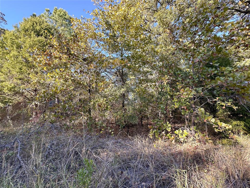 134 Thrush Road Mabank, TX 75156 - Photo 2 of 17 a view of a yard with a tree