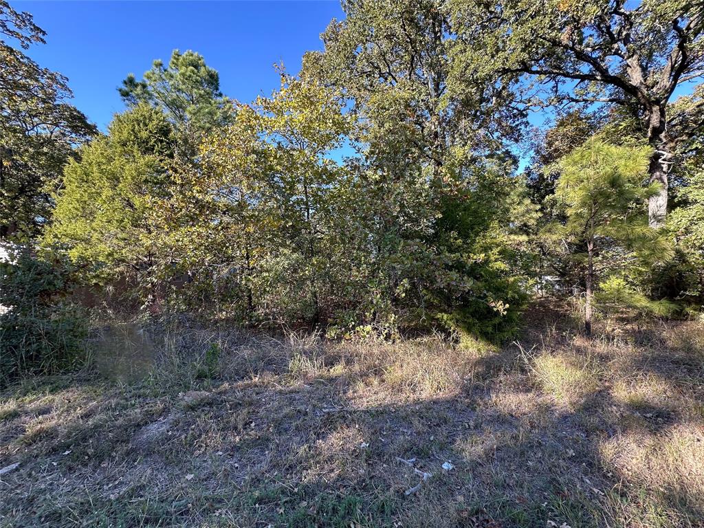 134 Thrush Road Mabank, TX 75156 - Photo 4 of 17 a view of a forest with trees in the background