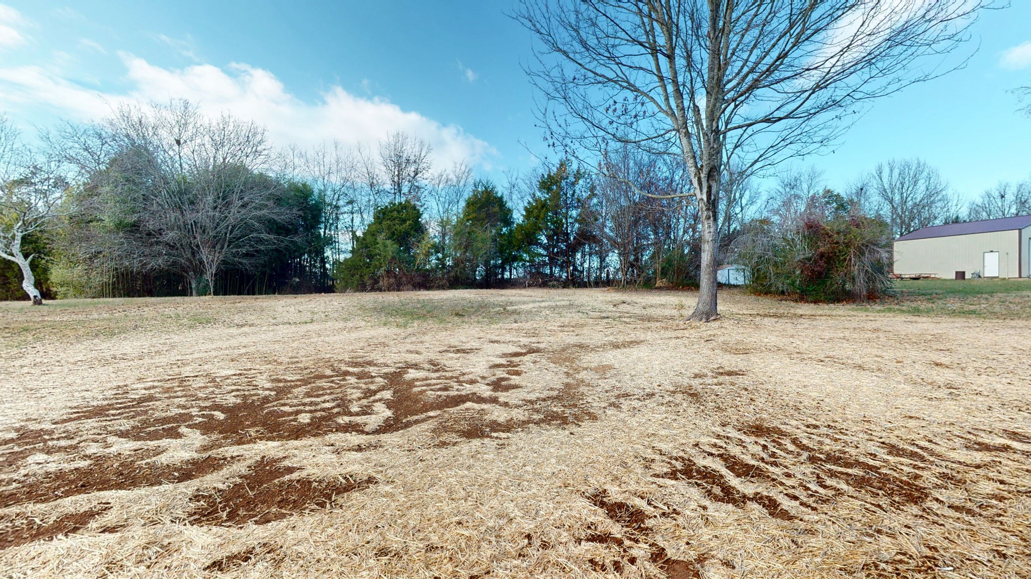 128 Deer Point Road Unionville, TN 37180 - Photo 30 of 42