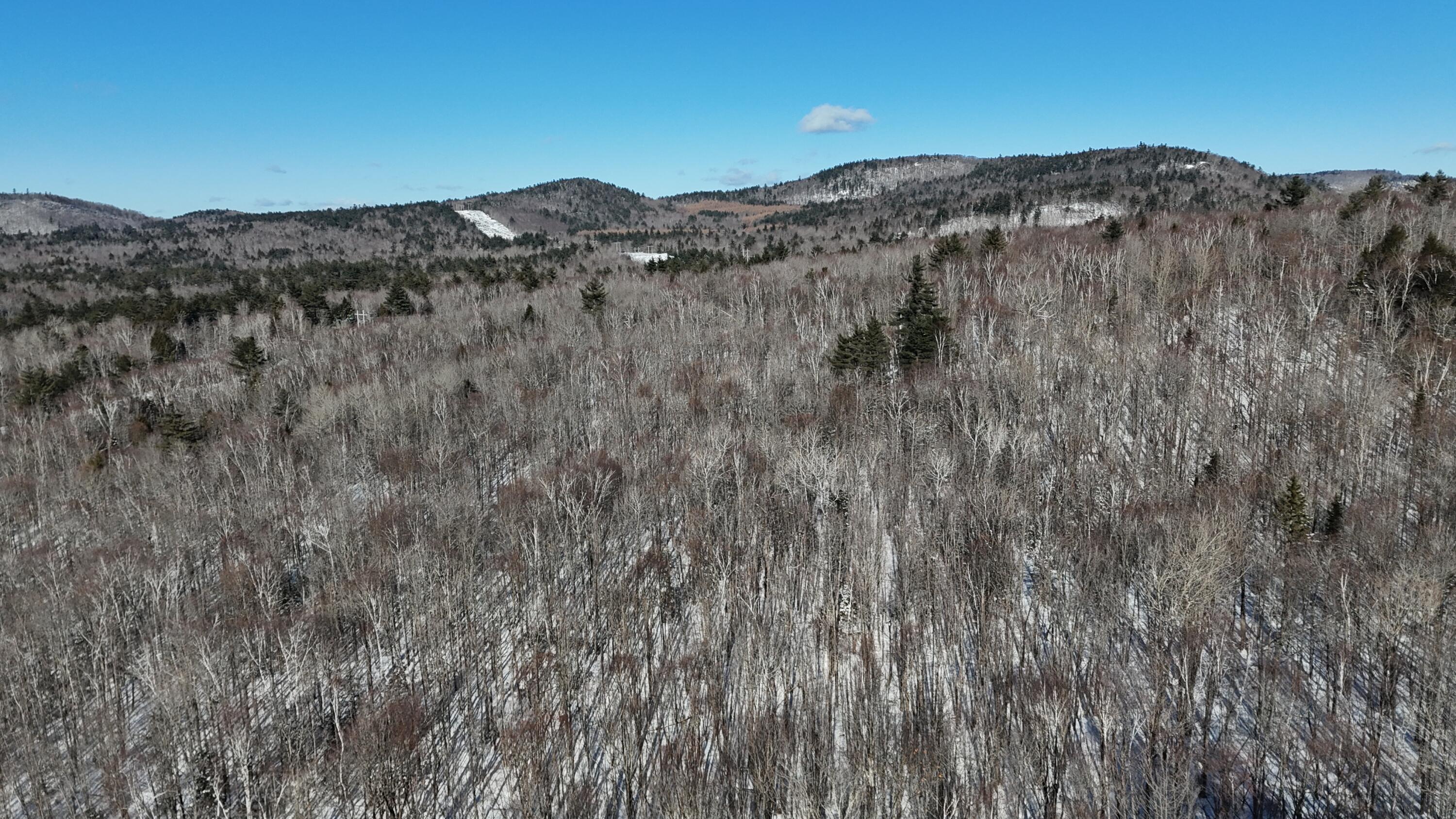 Tbd Dunn Road Norway, ME 04268 - Photo 13 of 17 DJI_20250202025811_0051_D