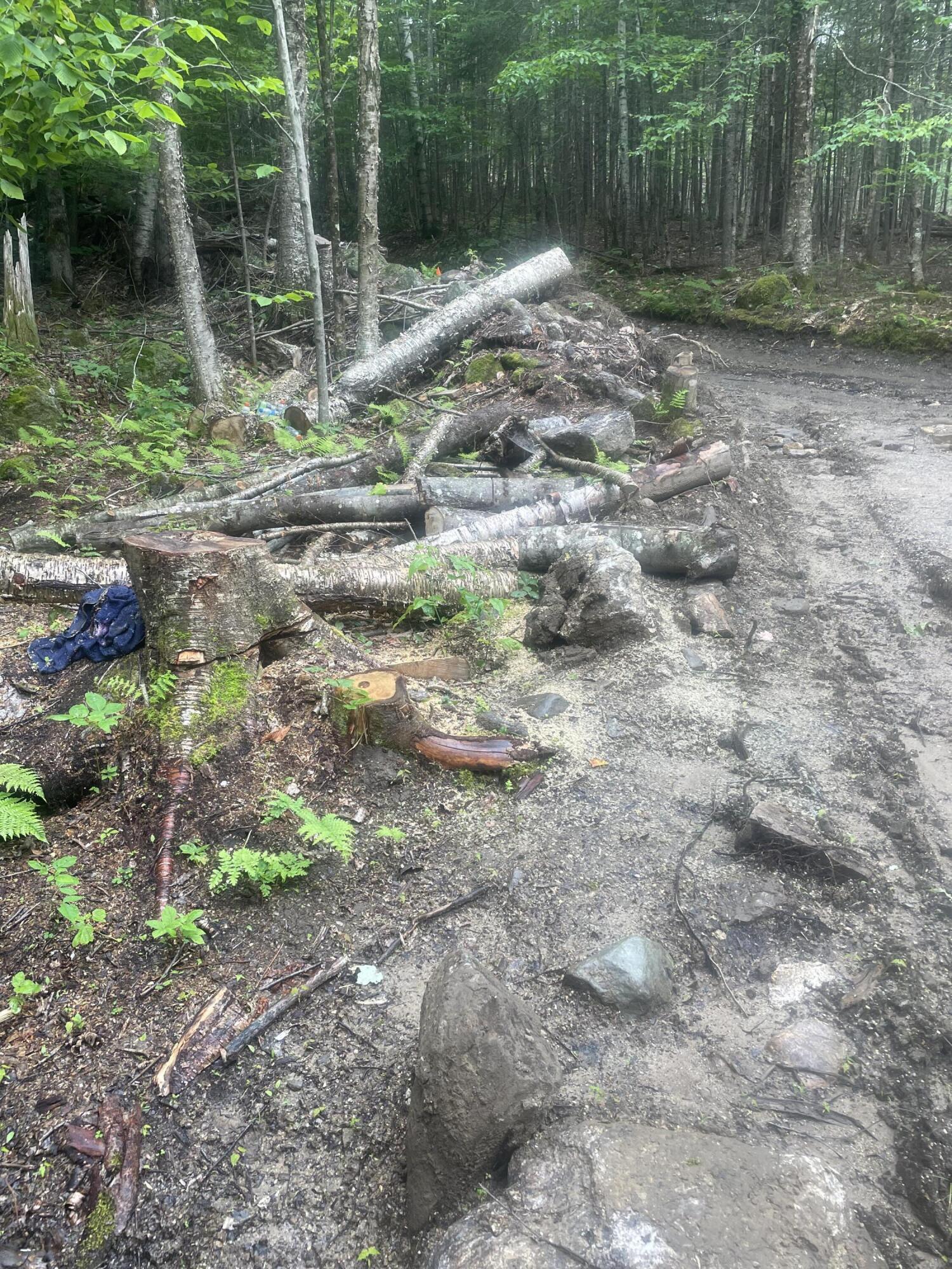 Tbd Dunn Road Norway, ME 04268 - Photo 14 of 17 IMG_2706