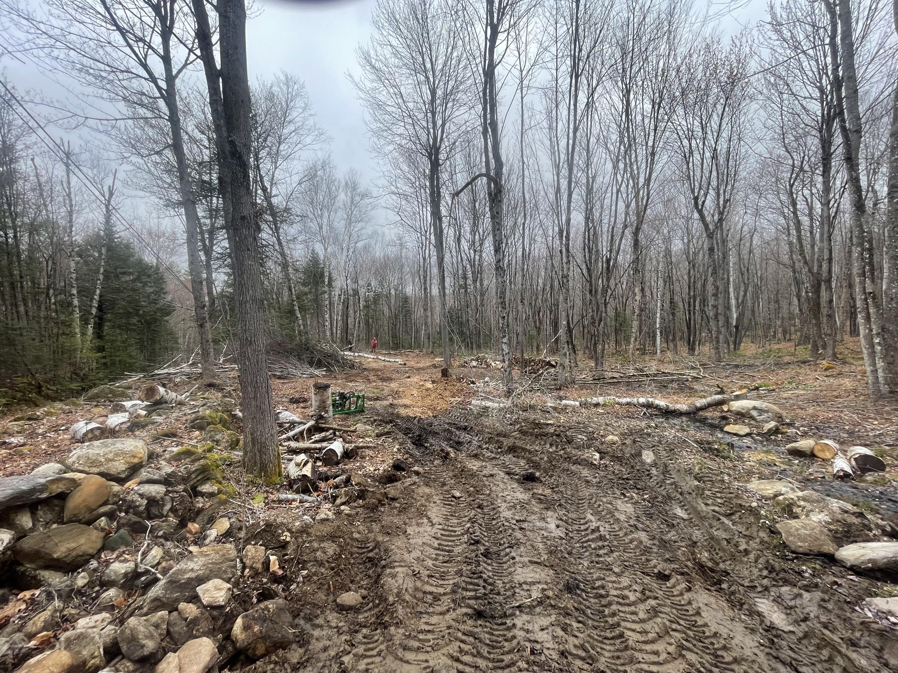 Tbd Dunn Road Norway, ME 04268 - Photo 16 of 17 IMG_4752