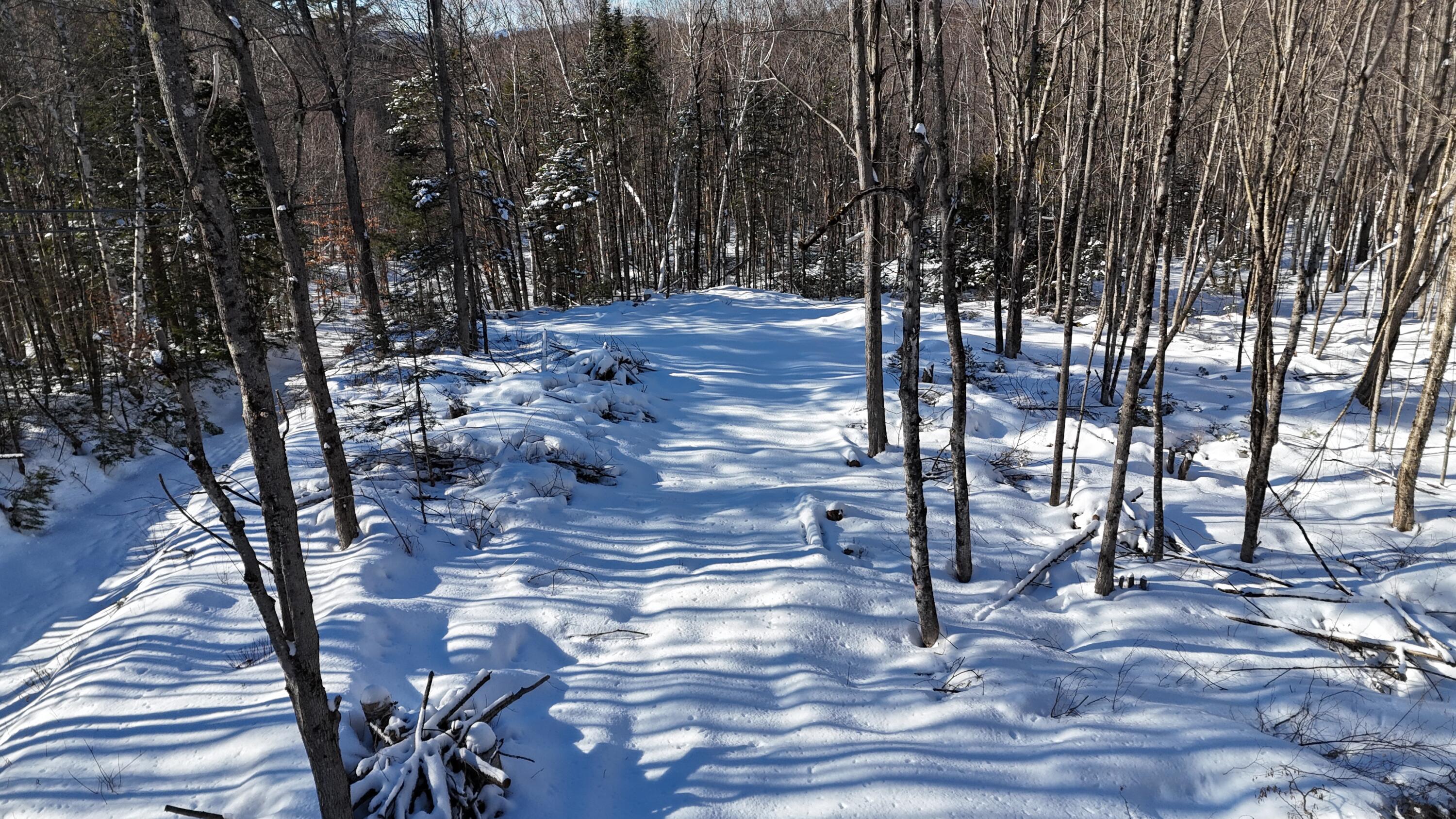 Tbd Dunn Road Norway, ME 04268 - Photo 4 of 17 DJI_20250202030359_0059_D