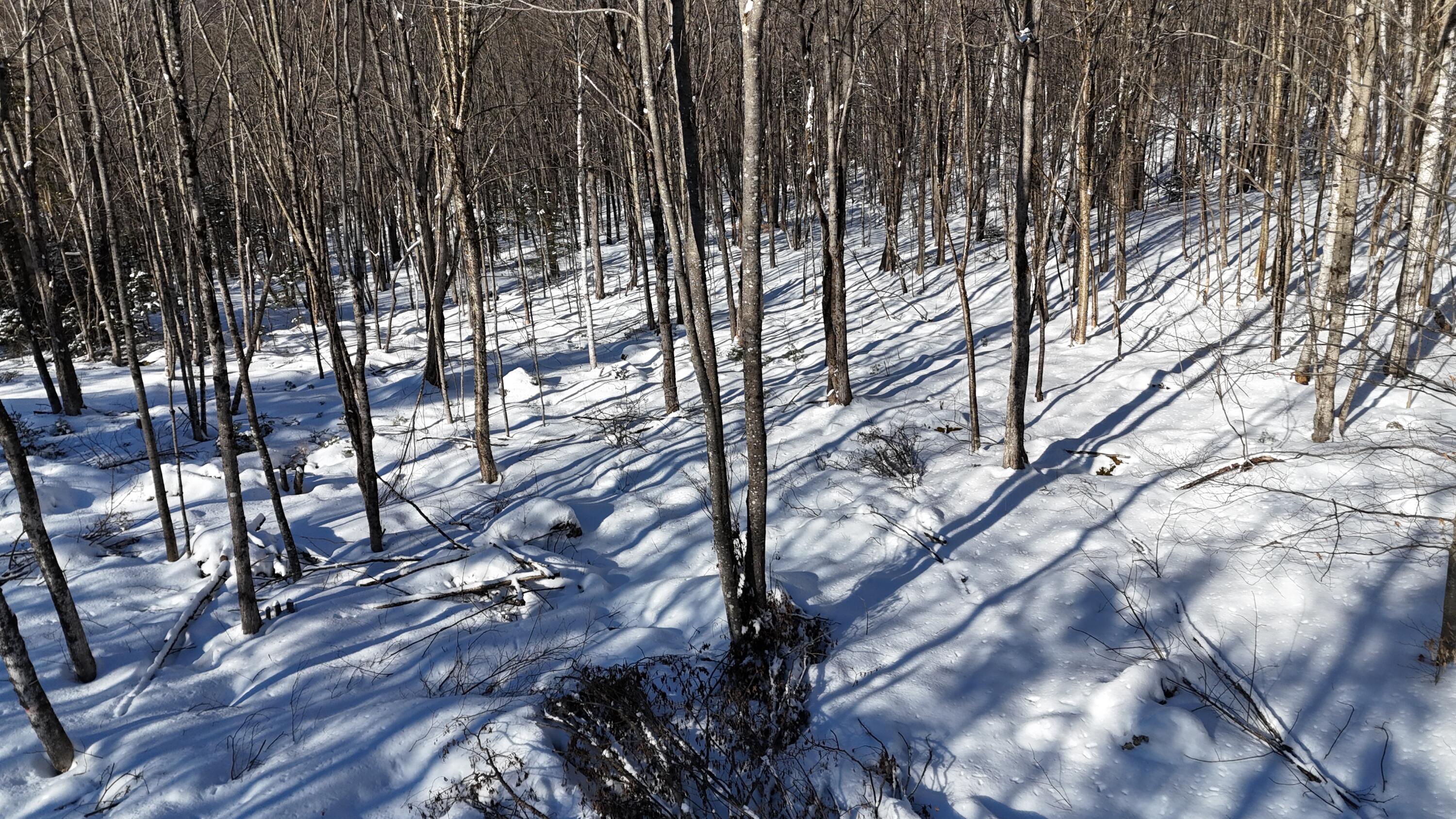 Tbd Dunn Road Norway, ME 04268 - Photo 5 of 17 DJI_20250202030403_0060_D