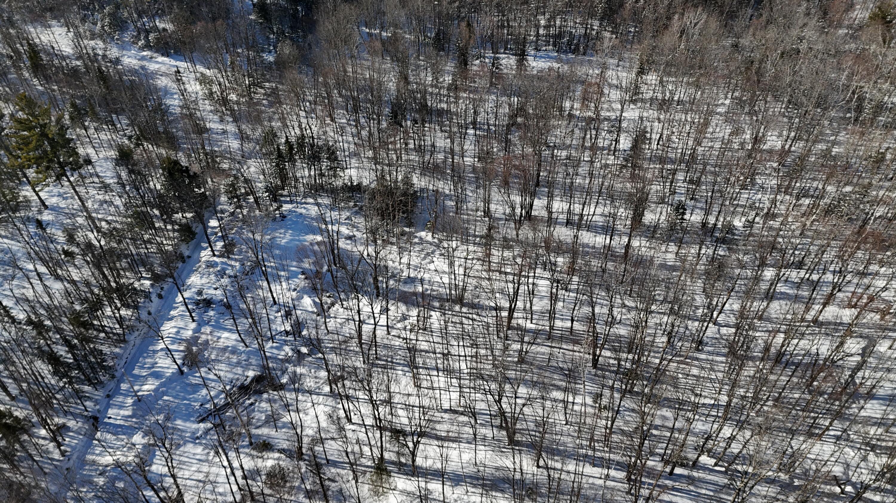 Tbd Dunn Road Norway, ME 04268 - Photo 6 of 17 DJI_20250202025929_0053_D