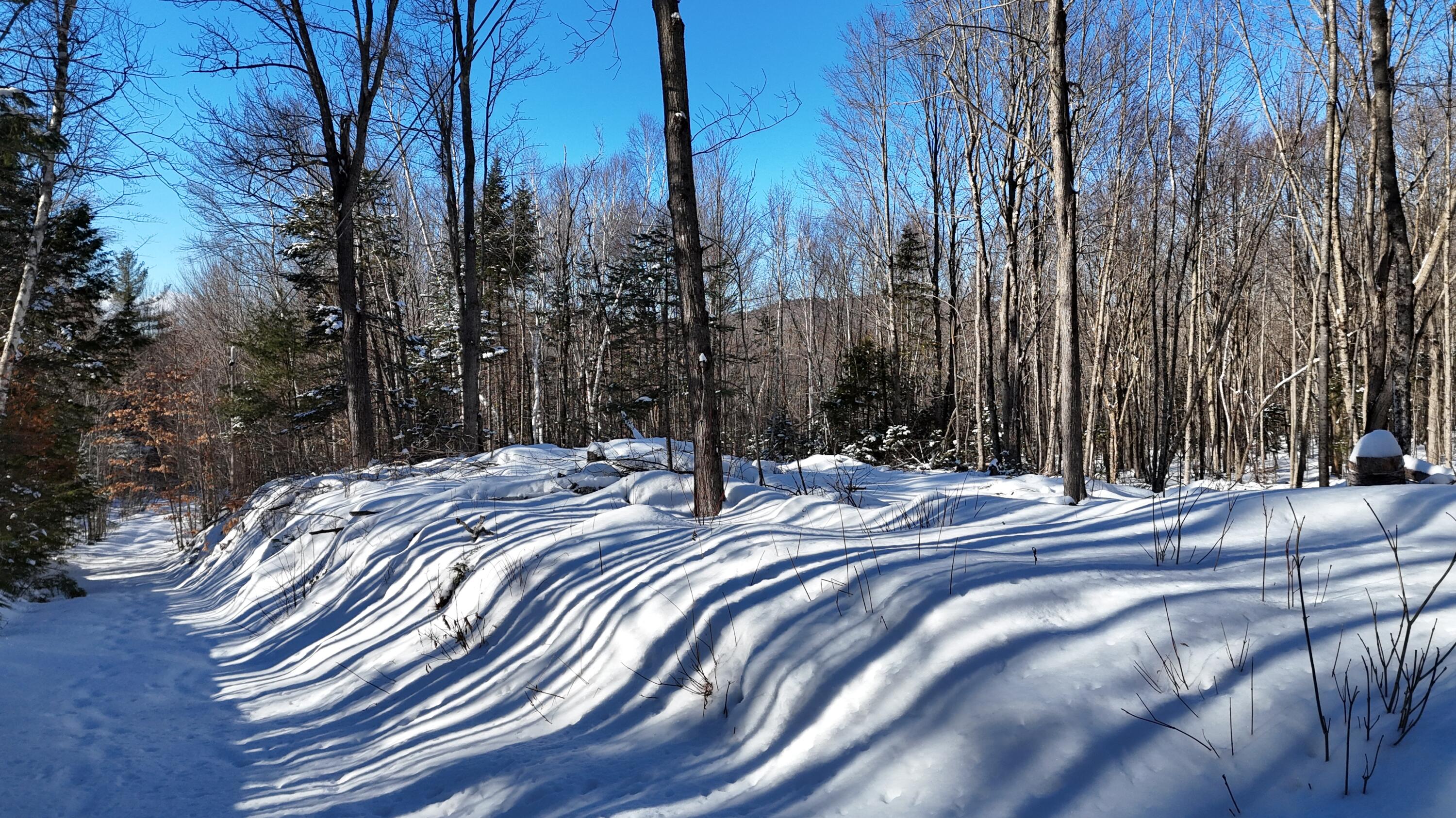 Tbd Dunn Road Norway, ME 04268 - Photo 8 of 17 DJI_20250202030450_0061_D