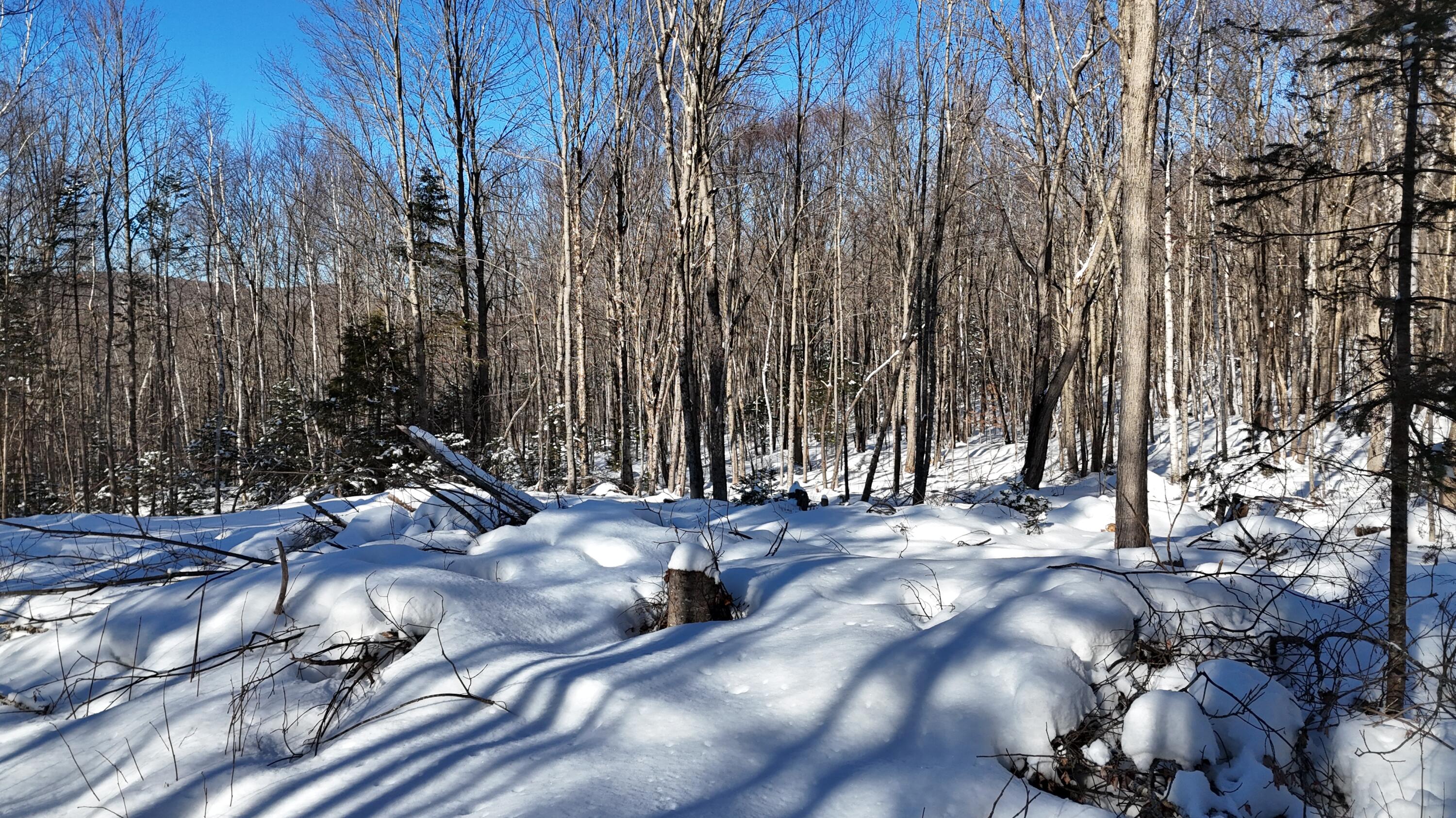 Tbd Dunn Road Norway, ME 04268 - Photo 9 of 17 DJI_20250202030516_0062_D
