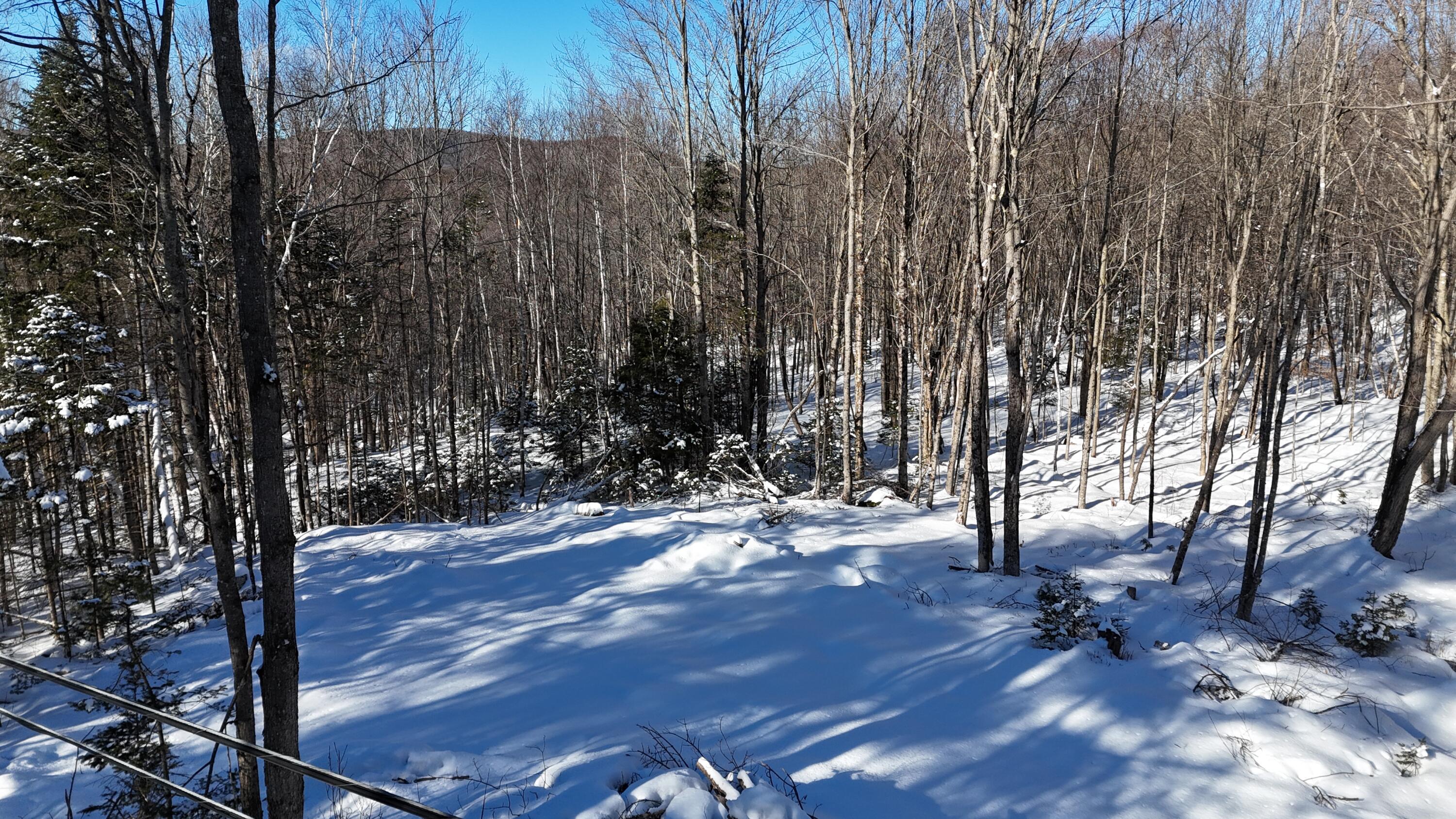 Tbd Dunn Road Norway, ME 04268 - Photo 10 of 17 DJI_20250202030553_0063_D