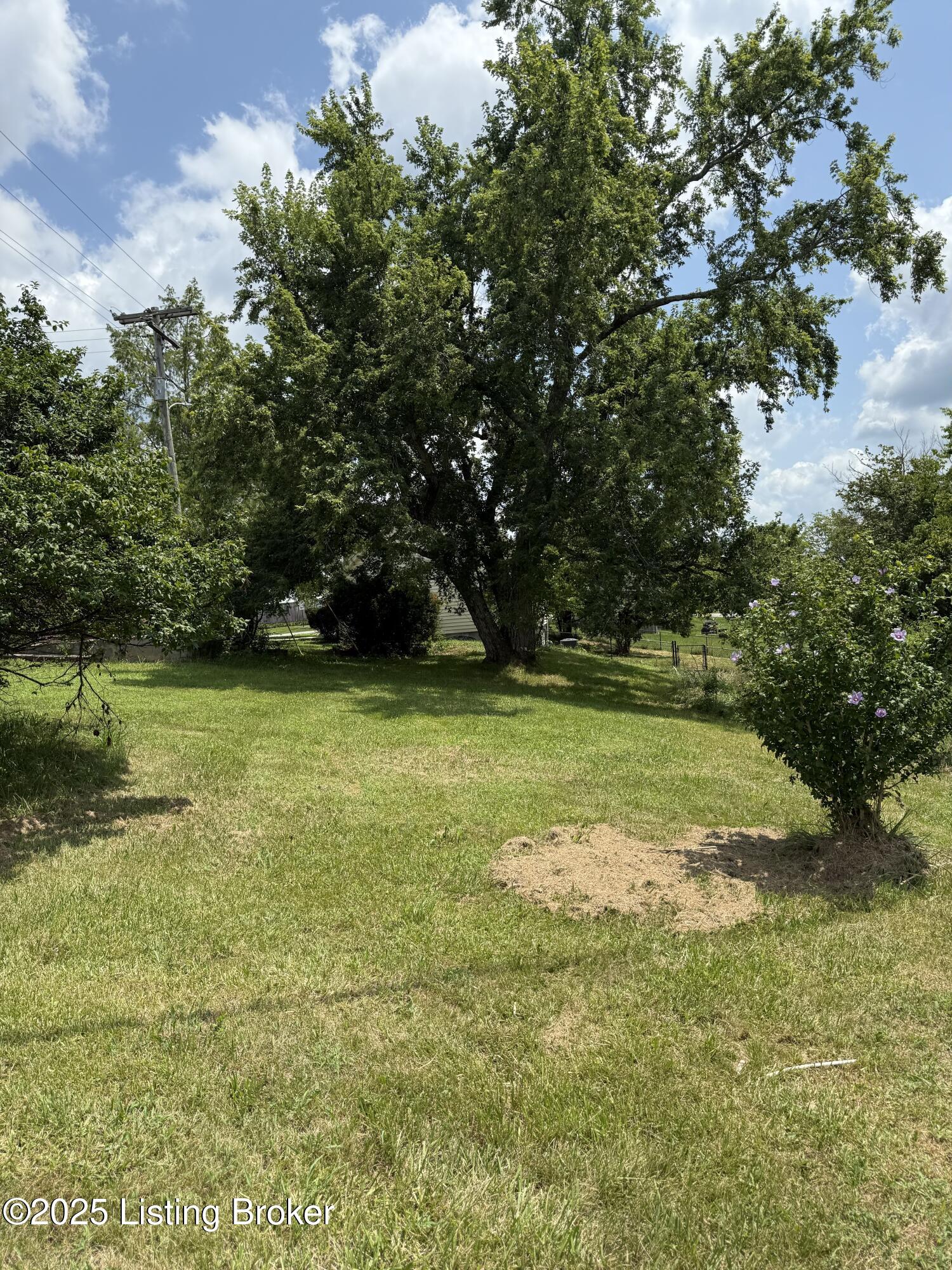 1501 Waddy Road Lawrenceburg, KY 40342 - Photo 12 of 38 IMG_3147