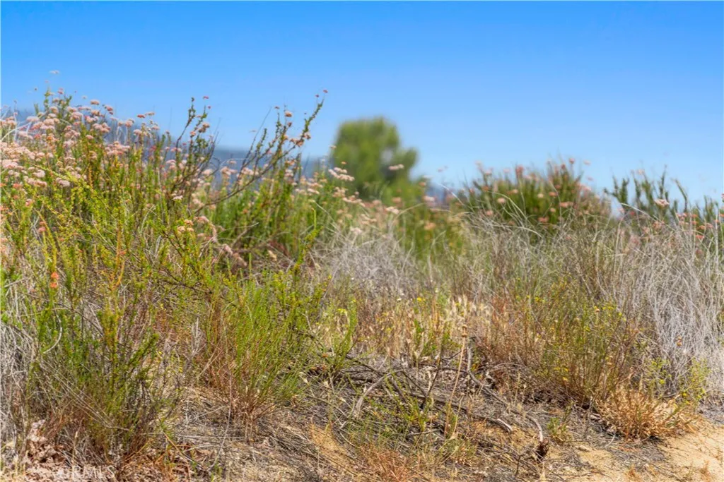 1 Gray Squirrel Road Temecula, CA 92592 - Photo 71 of 74