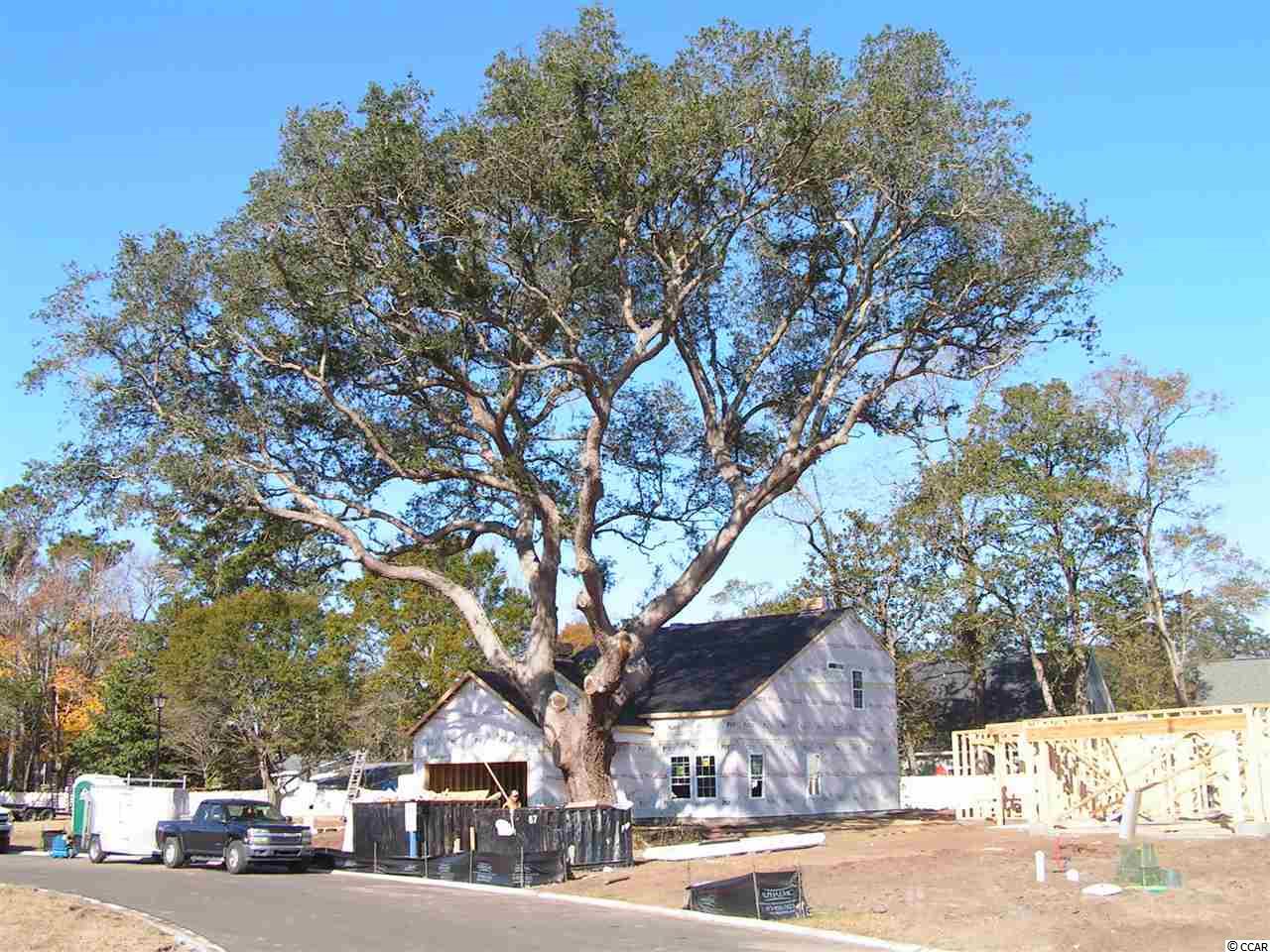 159 Grove Park Loop Murrells Inlet, SC 29576 - Photo 3 of 3