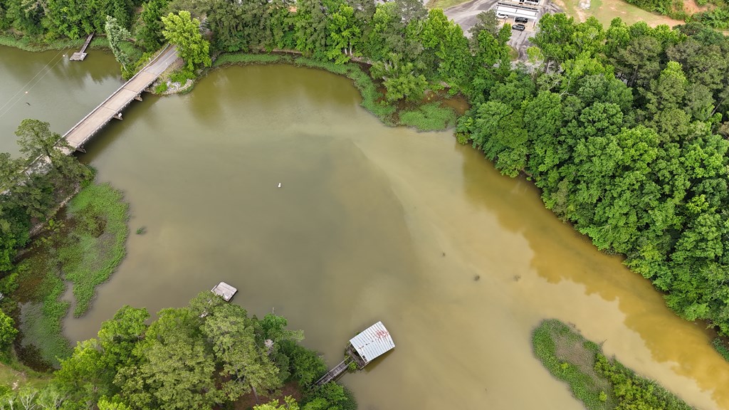 0 Hudspeth Drive Abbeville, AL 36310 - Photo 10 of 15