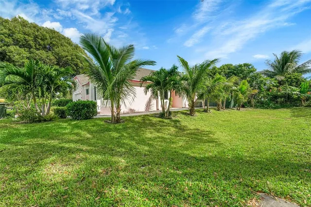 a view of a yard with a palm tree