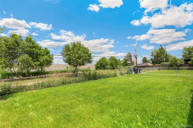 a view of a park with large trees