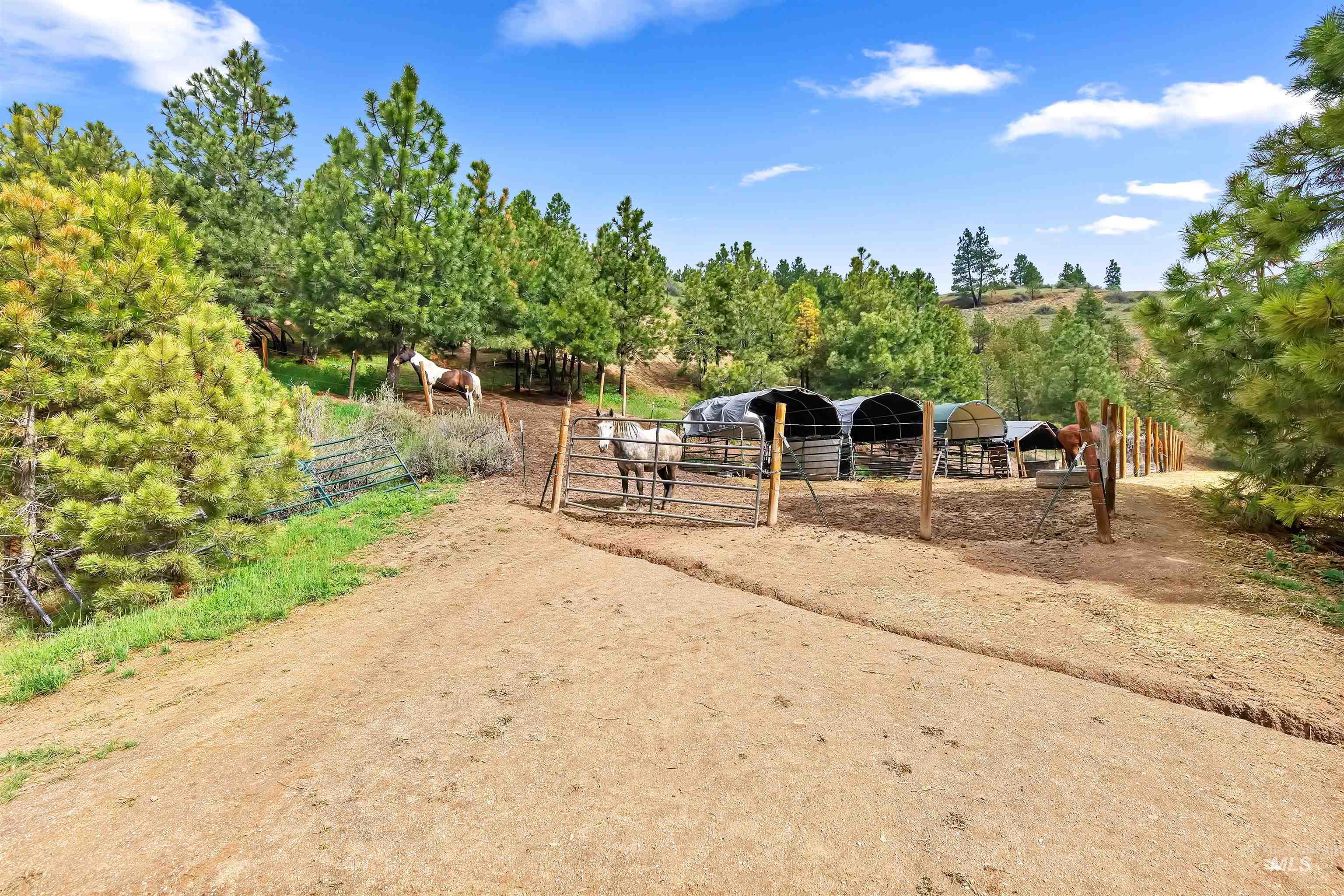 4 Round Up Circle Boise, ID 83716 - Photo 42 of 47 Fenced pasture area featuring multiple animal shelters, wood posts, and wire fencing