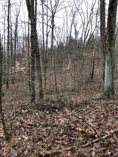 Moffett Road Morning View, KY 41063 - Photo 18 of 22