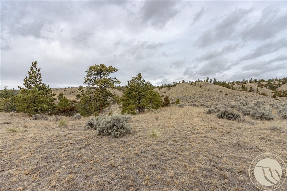 0 Rocky Ridge Road Molt, MT 59057 - Photo 9 of 17 Gallery Image 9