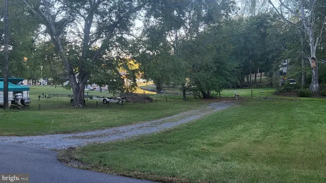 a view of a park with large trees