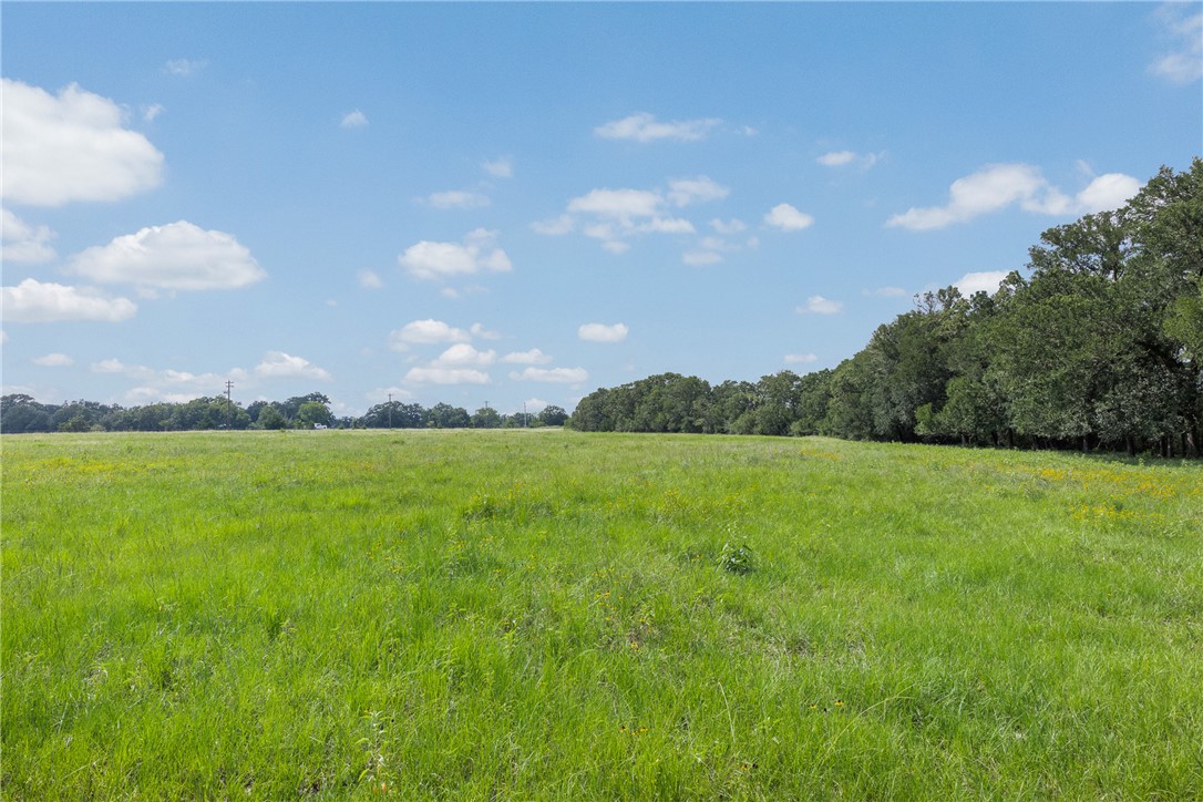 0 Hopes Creek Road College Station, TX 77845 - Photo 16 of 24