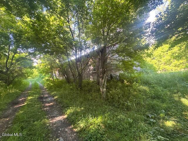 25 William Cipperly Road Hoosick, NY 12090 - Photo 41 of 53 IMG_6562