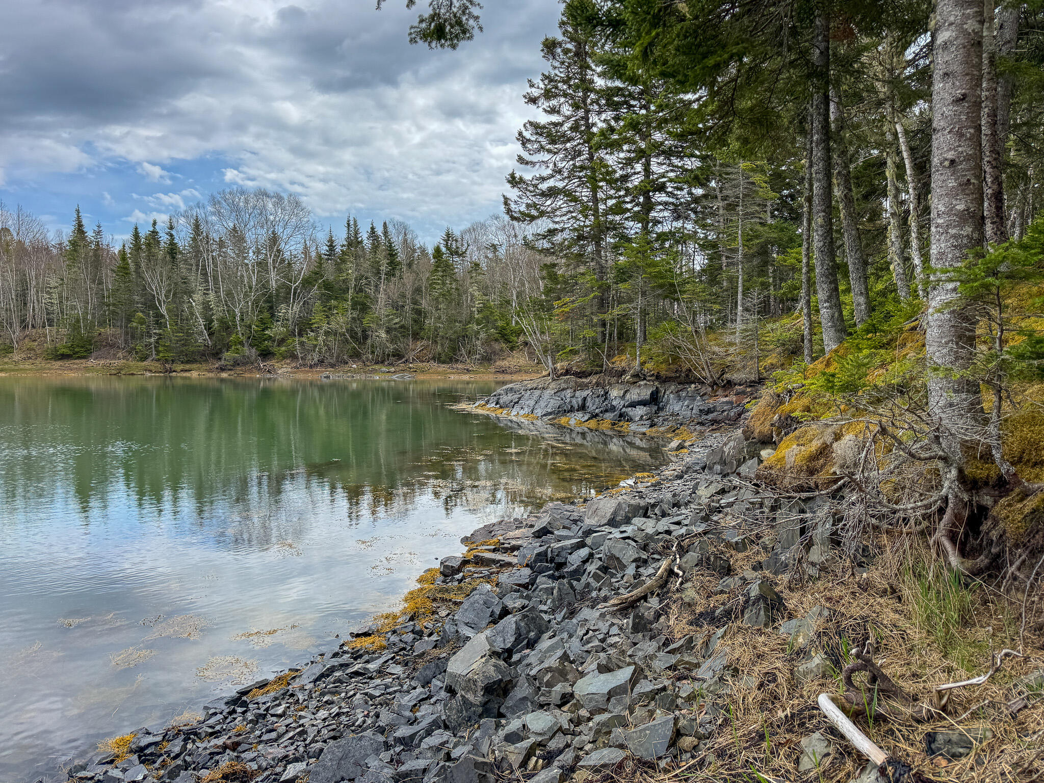 Lot 46 Yoho Head Road Machiasport, ME 04655 - Photo 9 of 22 9