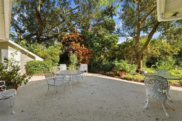 a view of a garden with plants