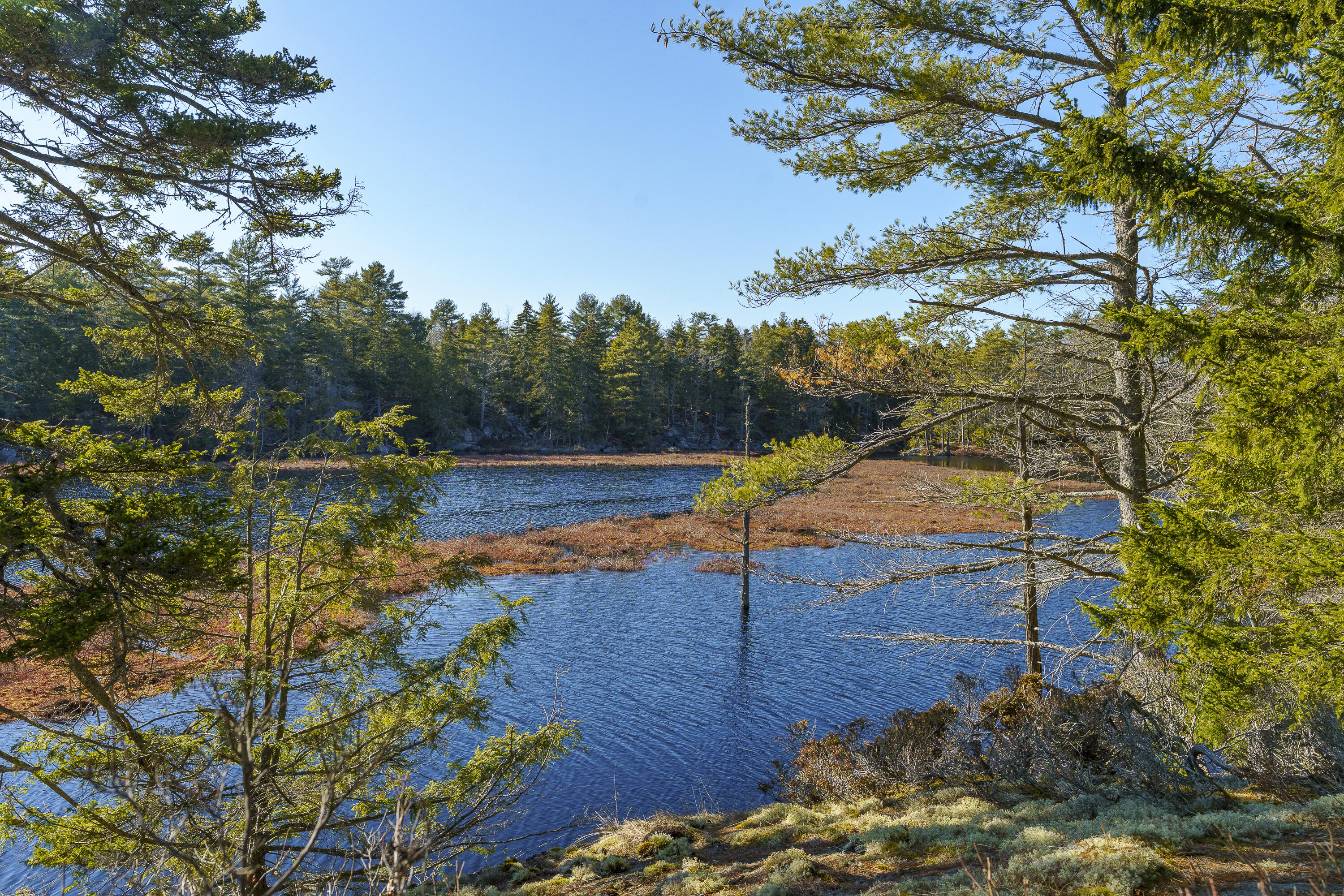1357 Main Road Westport Island, ME 04578 - Photo 31 of 38 14-1357 Main Rd, Westport Island, ME-TP