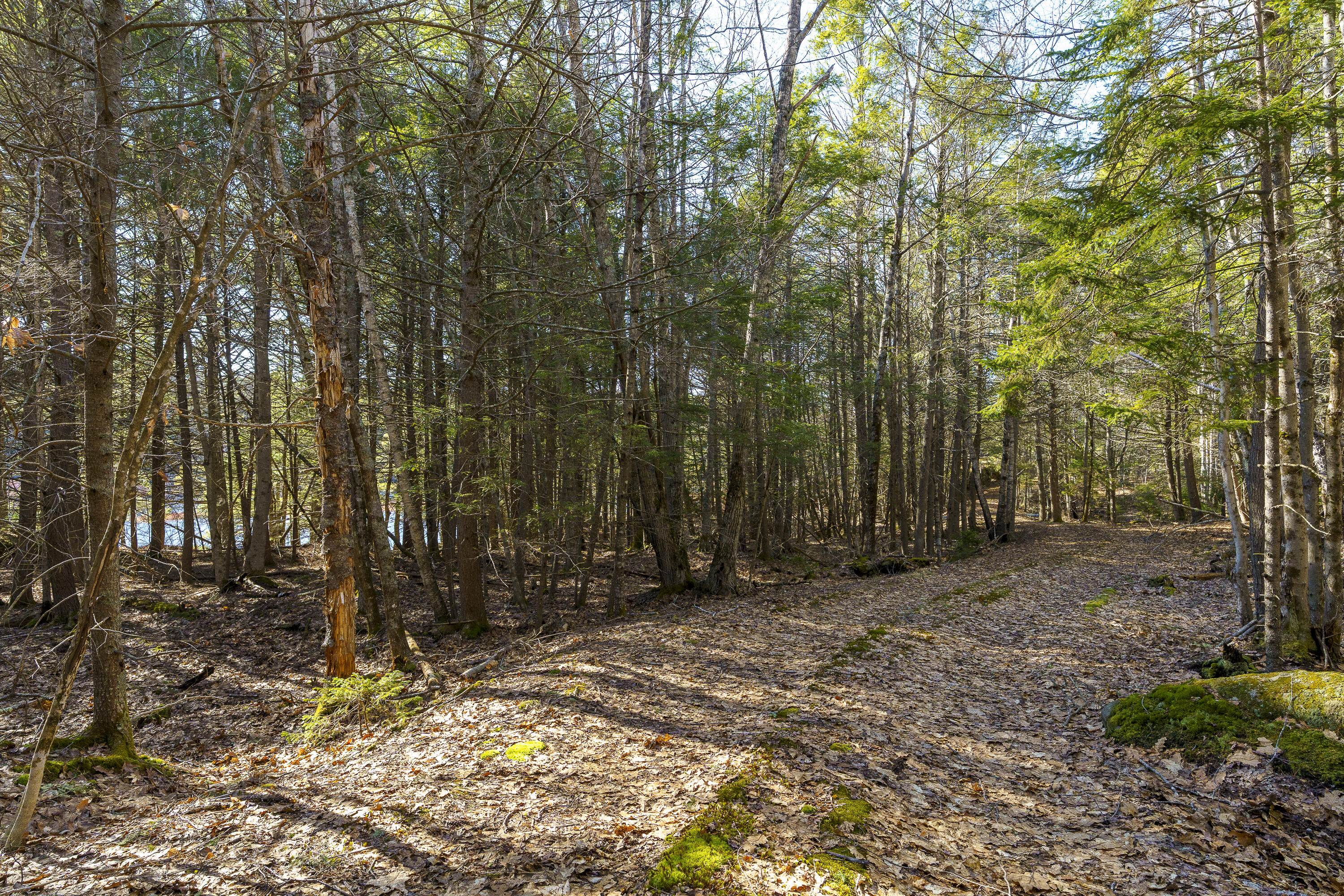 1357 Main Road Westport Island, ME 04578 - Photo 35 of 38 05-1357 Main Rd, Westport Island, ME-TP