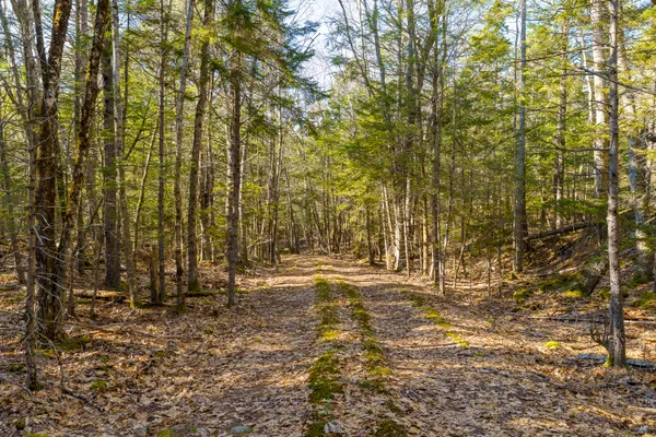 $225,000 | 1357 Main Road, Westport Island, ME 04578