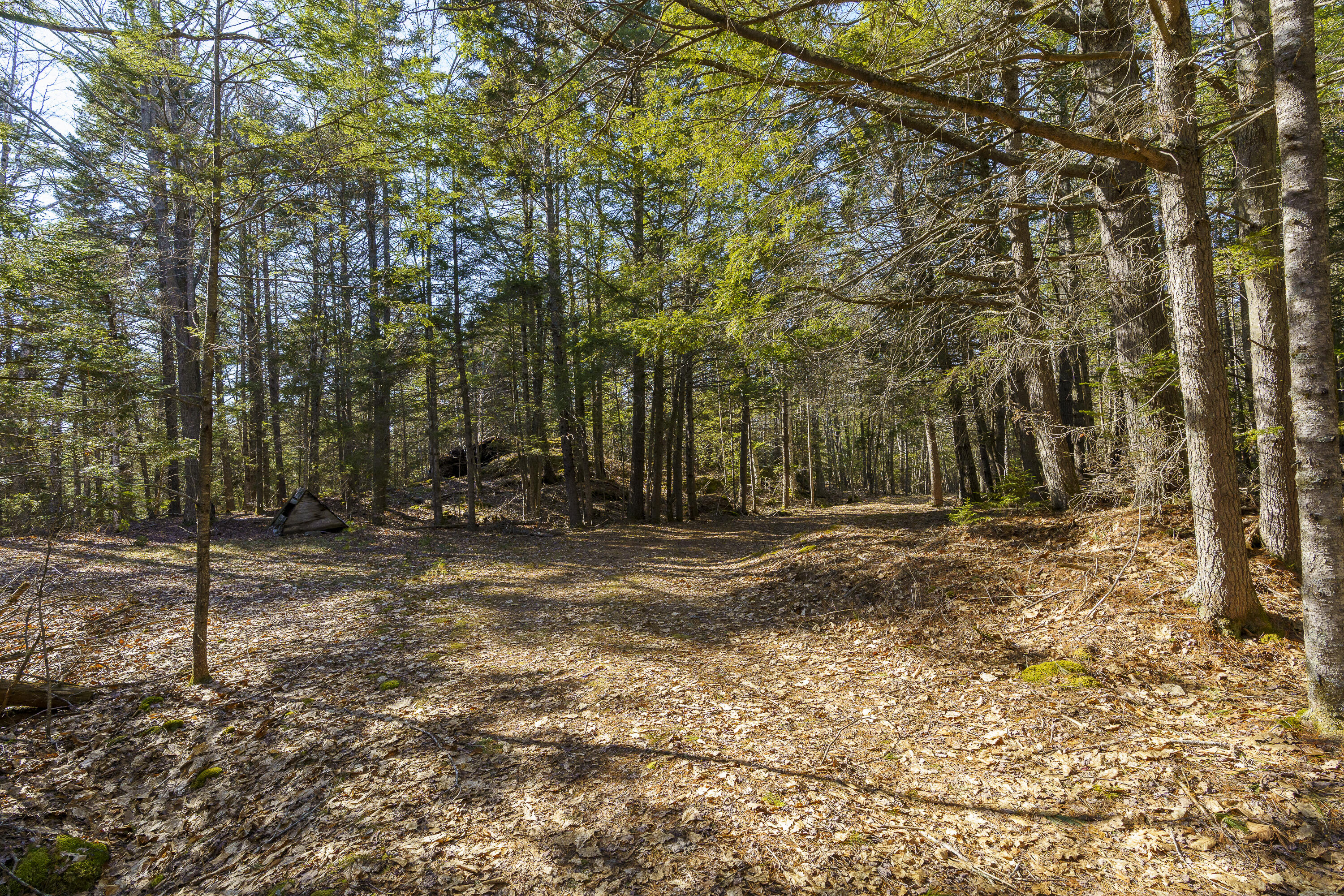 1357 Main Road Westport Island, ME 04578 - Photo 37 of 38 03-1357 Main Rd, Westport Island, ME-TP