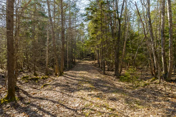 $225,000 | 1357 Main Road, Westport Island, ME 04578