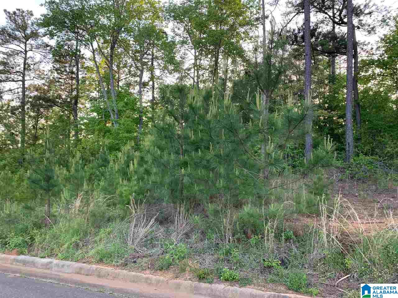 89 Angel Circle, Unit 49 Weaver, AL 36277 - Photo 5 of 6