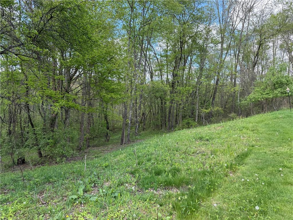 111 McCall Road Butler, PA 16001 - Photo 40 of 50 a view of a lush green forest