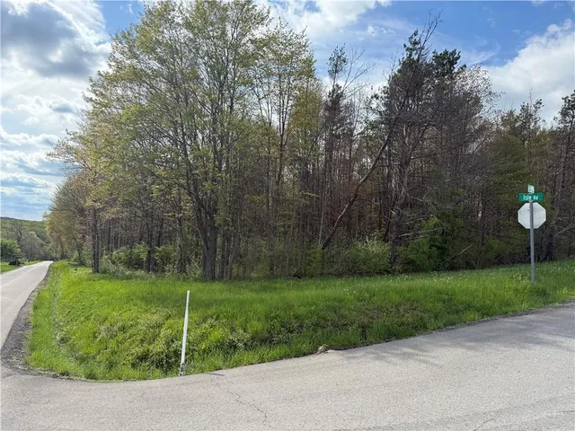 a view of a park with large trees