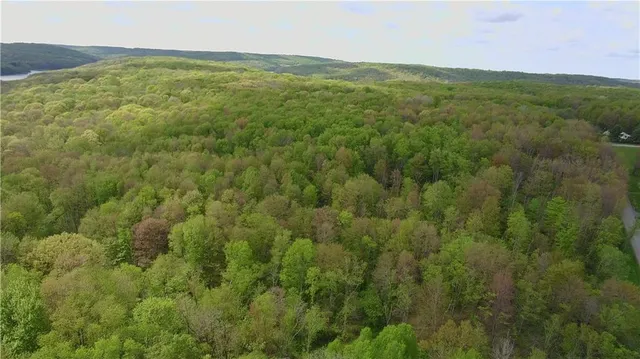 a view of a field with an oven and more trees