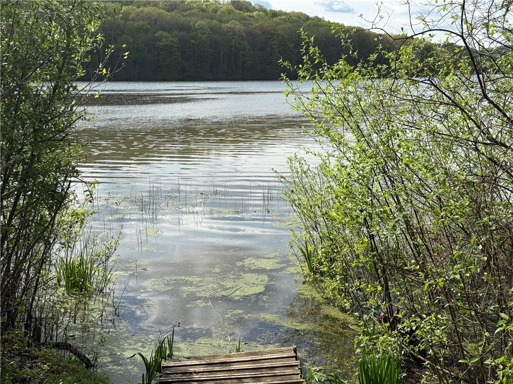 111 McCall Road Butler, PA 16001 - Photo 50 of 50 a view of a backyard of a house