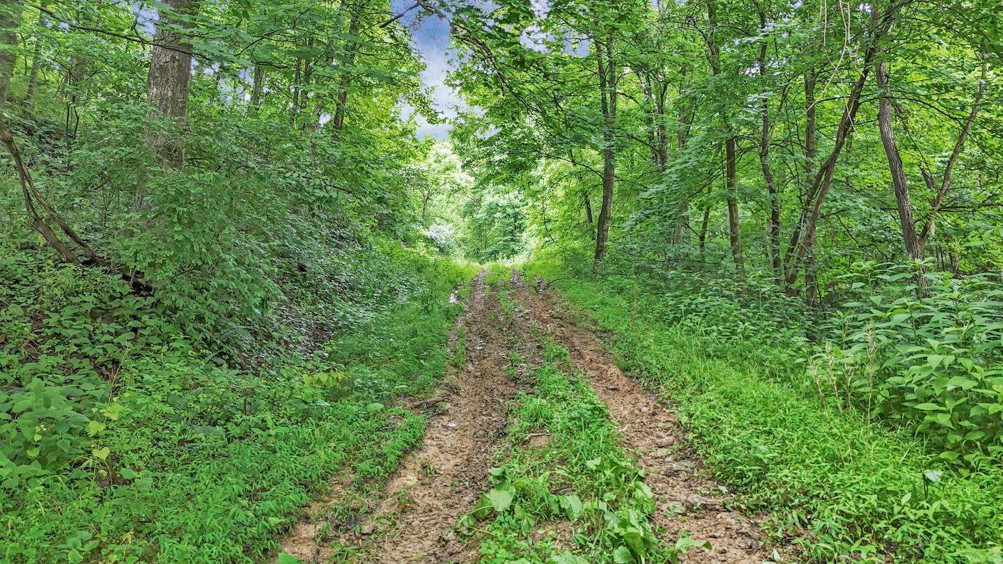 16749 Mush Run Road Athens, OH 45701 - Photo 23 of 37 32-web-or-mls-DJI_20260622130405_0688_D