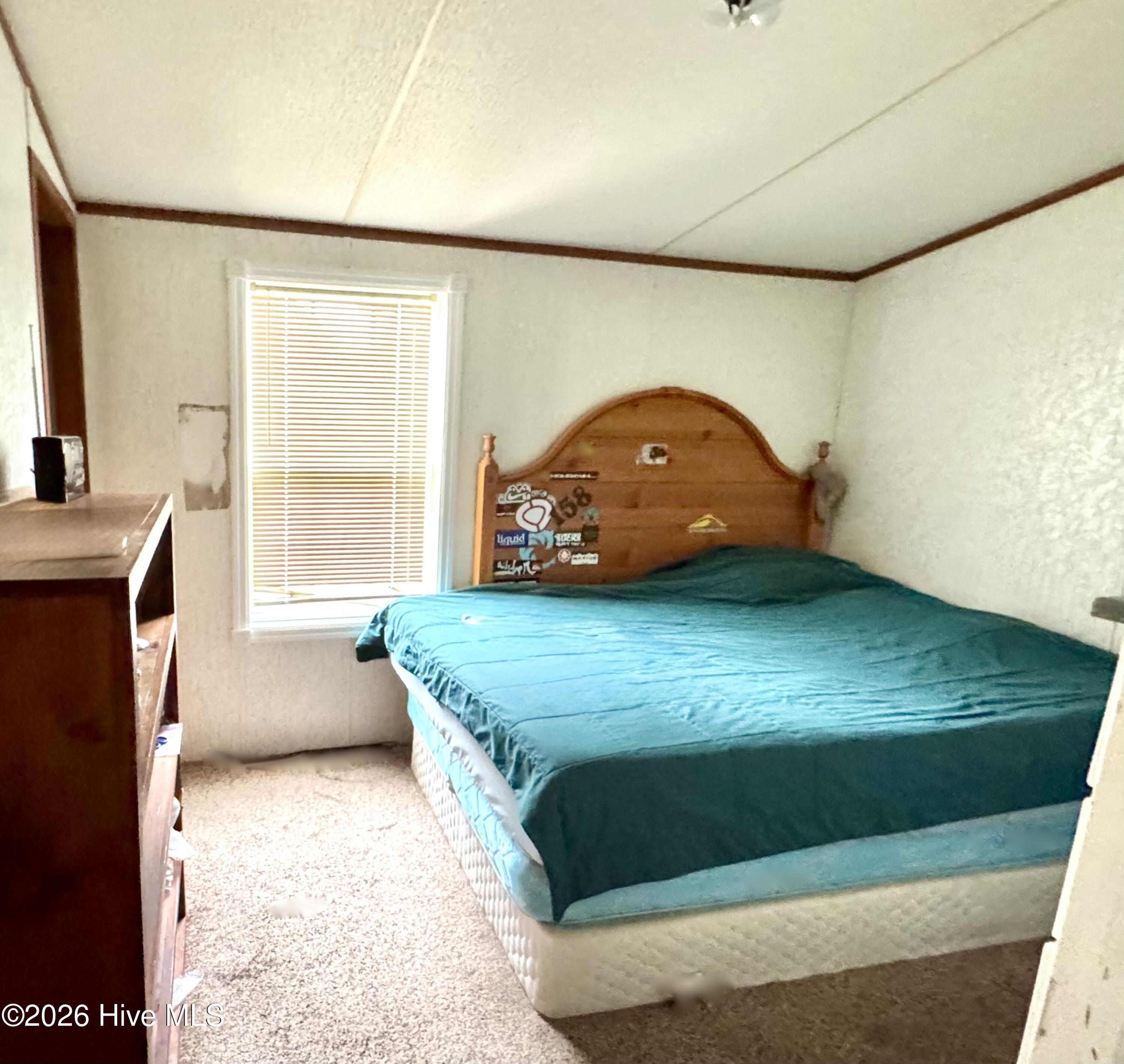 131 Edgewater Drive Grandy, NC 27939 - Photo 11 of 14 IMG_5716
