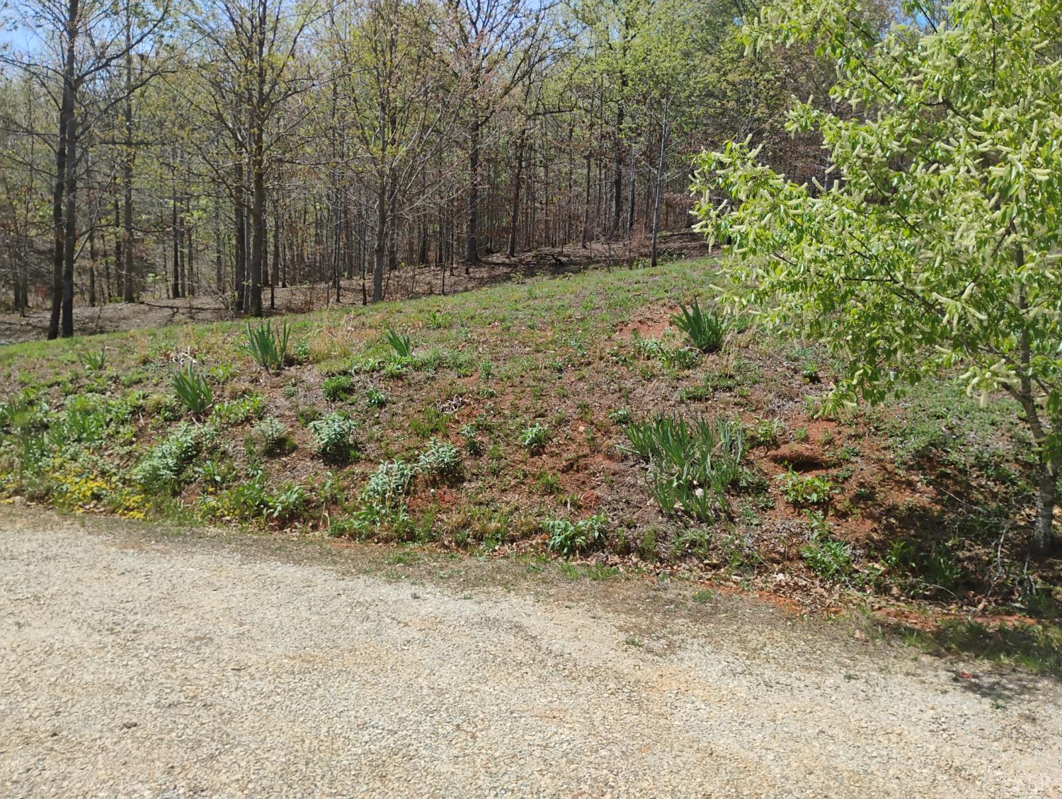 4183 Tye River Road Amherst, VA 24521 - Photo 67 of 67 Gallery Image 67
