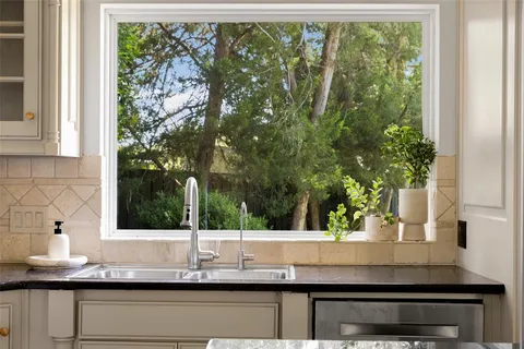 a view of kitchen with sink and potted plant