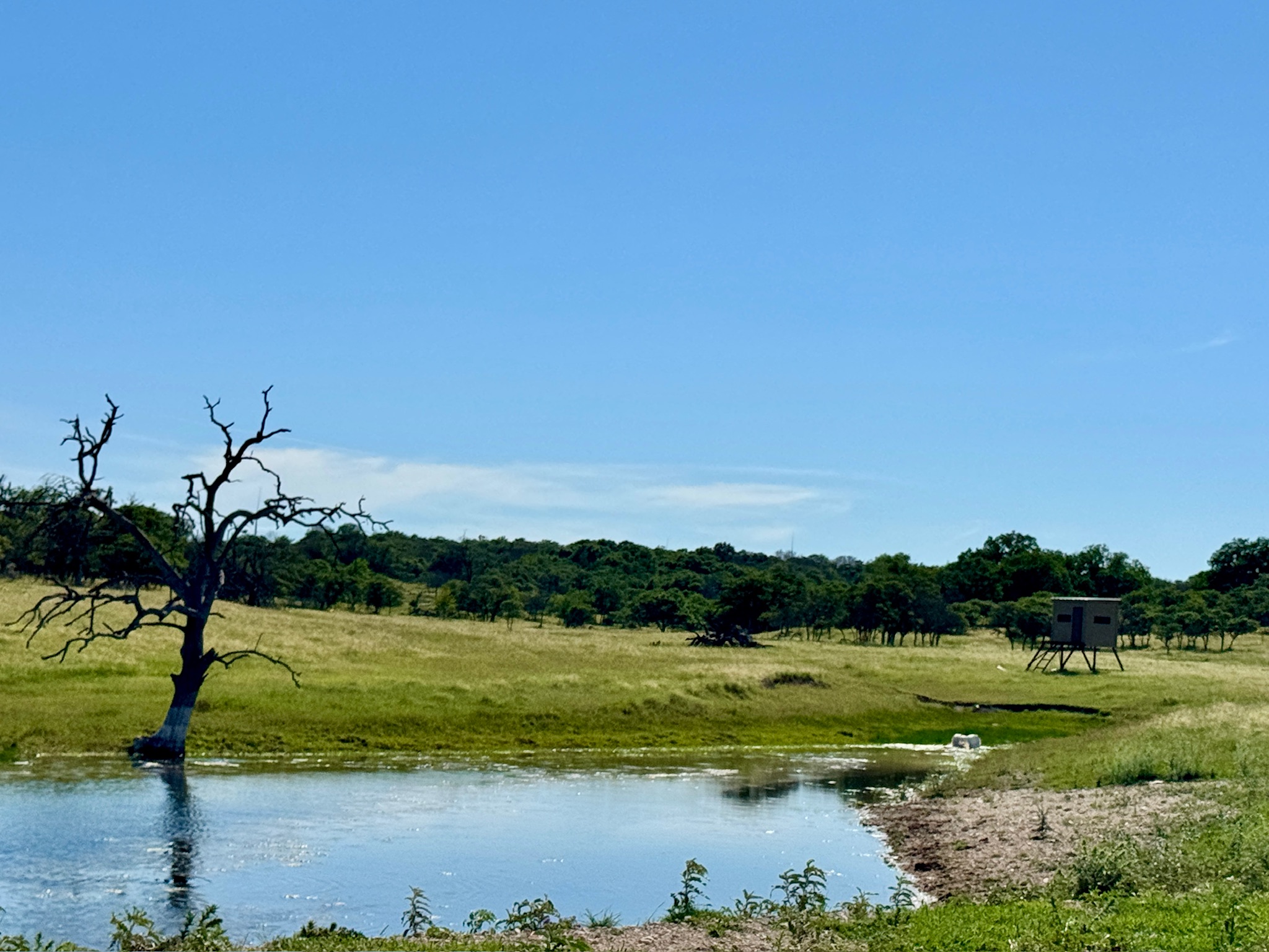 9 North Hcr 624 Road Hamilton, TX 76531 - Photo 27 of 40 a view of a lake with a big yard