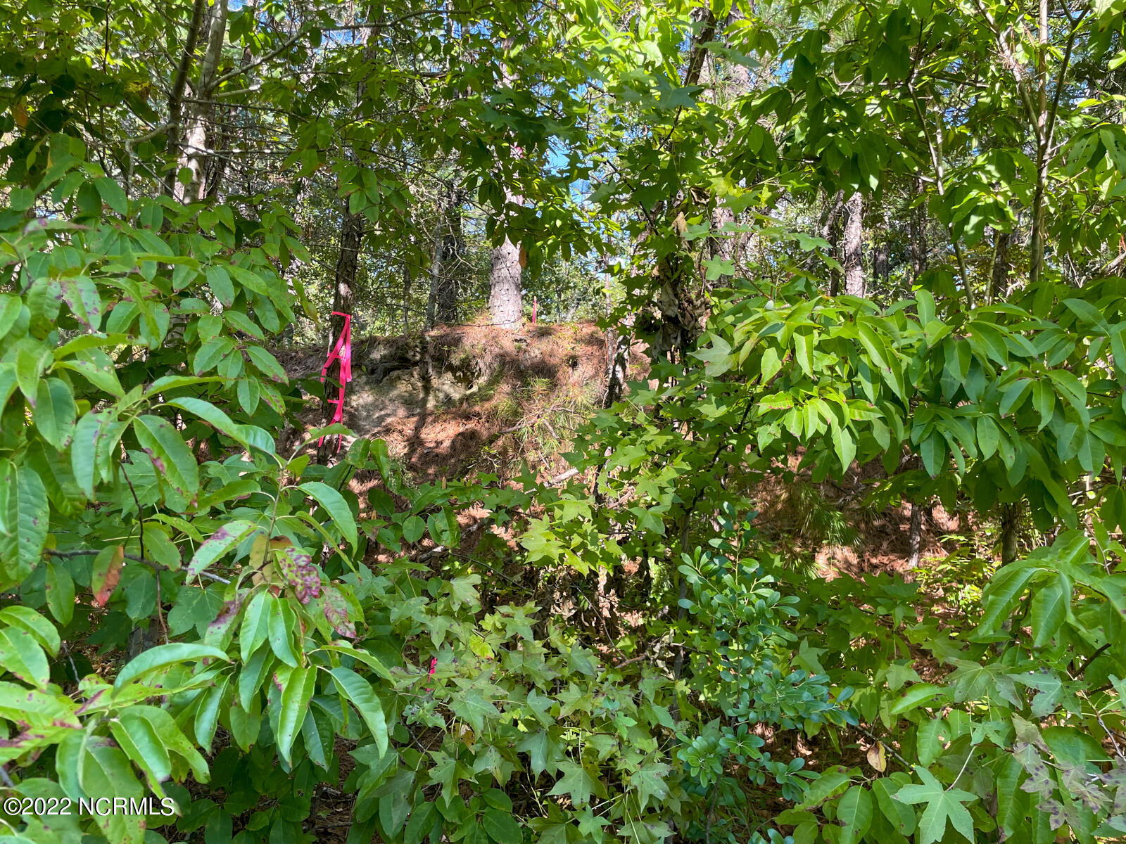 Tbd McGill Road Cameron, NC 28326 - Photo 20 of 24 McGill rd (24)