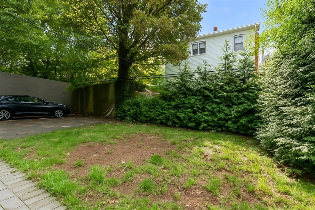 4 Wyoming Street, Unit 2 Boston, MA 02121 - Photo 21 of 23 a view of a backyard with potted plants and a large tree