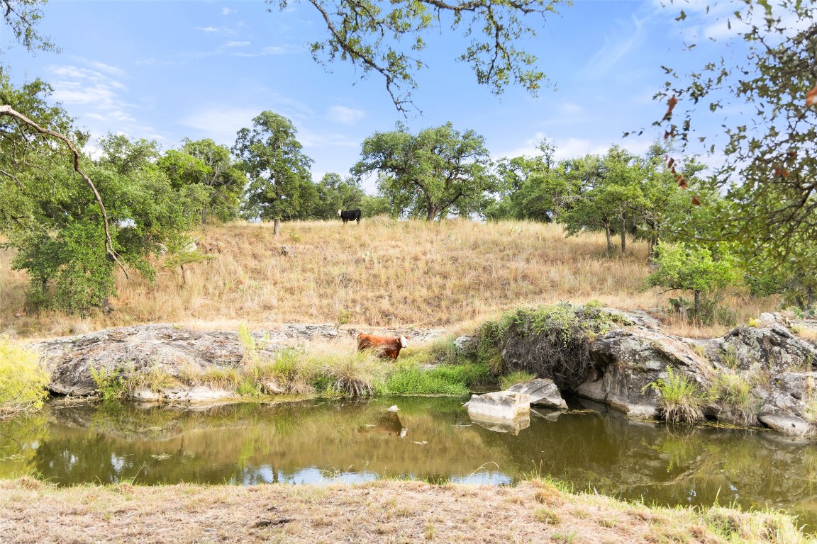 3503 Althaus-Davis Road Fredericksburg, TX 78624 - Photo 30 of 40 a view of lake background