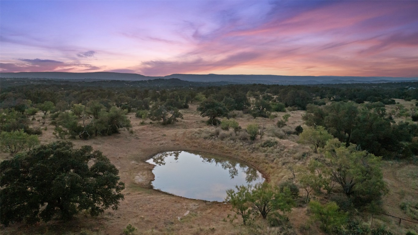 3503 Althaus-Davis Road Fredericksburg, TX 78624 - Photo 5 of 40 a view of a dry yard with trees