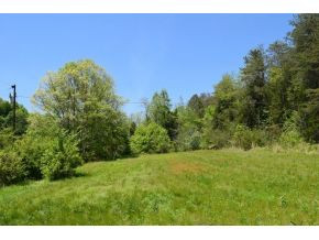 0 Ray Baker Road Kyles Ford, TN 37765 - Photo 1 of 9 Photo 1