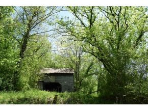 0 Ray Baker Road Kyles Ford, TN 37765 - Photo 4 of 9 Photo 4
