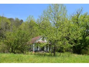 0 Ray Baker Road Kyles Ford, TN 37765 - Photo 5 of 9 Photo 5